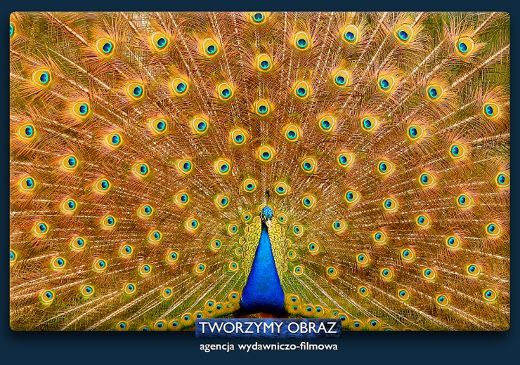 Wydawnictwo Tworzymy Obraz